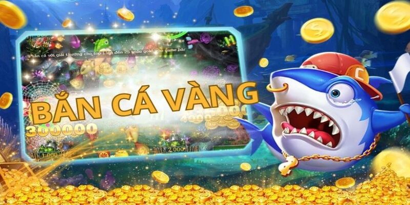 Các bước tham gia giải trí game đơn giản cho ngư thủ